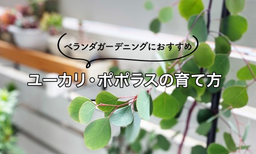 减10斤纯脂肪需要减肥多少斤-减掉十斤纯脂肪网—知名的减10斤纯脂肪体型变化网站,分享减10斤纯脂肪体型变化知识